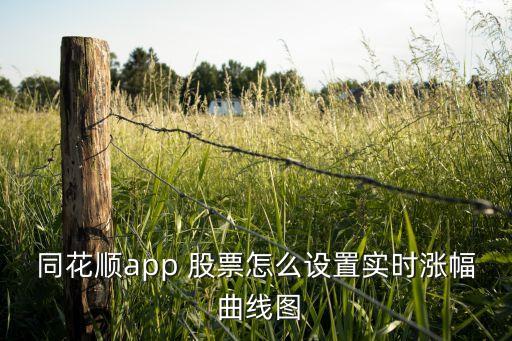在線股票資產動態(tài)曲線圖