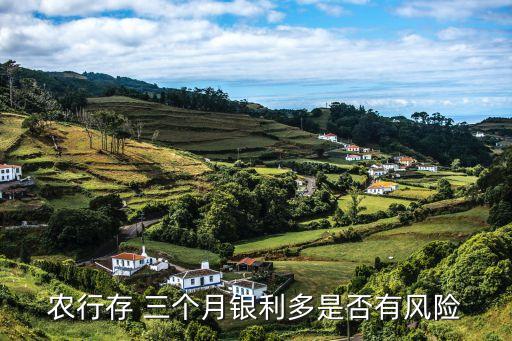 農(nóng)行存 三個月銀利多是否有風(fēng)險