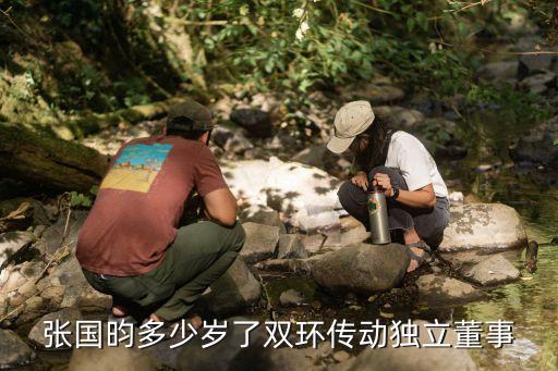 張國(guó)昀多少歲了雙環(huán)傳動(dòng)獨(dú)立董事