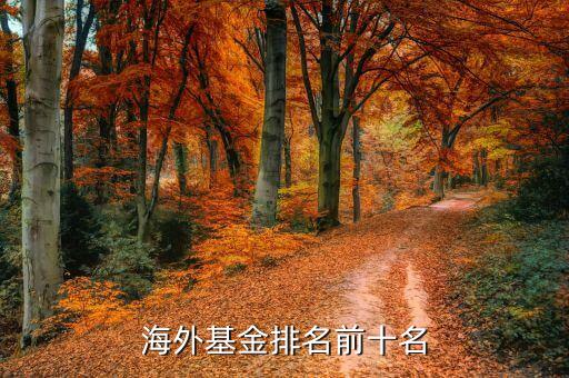 海外基金排名前十名