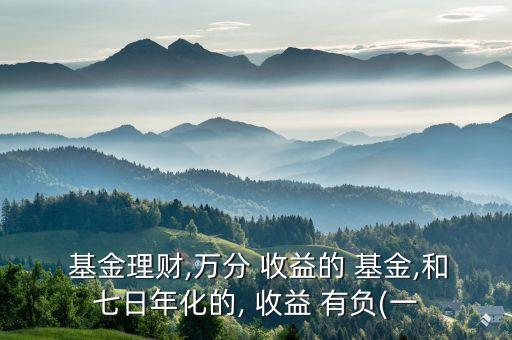歷史上貨幣基金有負(fù)收益嗎
