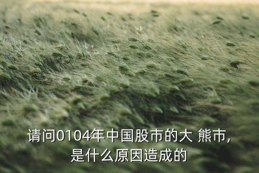 請(qǐng)問(wèn)0104年中國(guó)股市的大 熊市,是什么原因造成的
