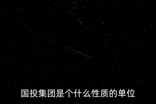 國投集團(tuán)是個(gè)什么性質(zhì)的單位