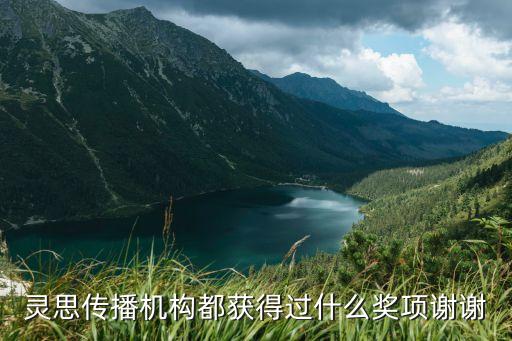 靈思傳播機(jī)構(gòu)都獲得過什么獎項(xiàng)謝謝