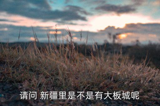 請(qǐng)問 新疆里是不是有大板城呢