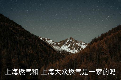 上海燃?xì)夂?上海大眾燃?xì)馐且患业膯? class=
