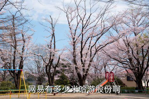 網(wǎng)易有多少米哈游股份啊