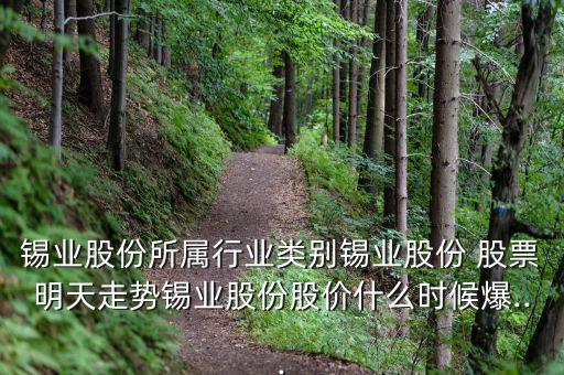 錫業(yè)股份所屬行業(yè)類別錫業(yè)股份 股票明天走勢錫業(yè)股份股價什么時候爆...
