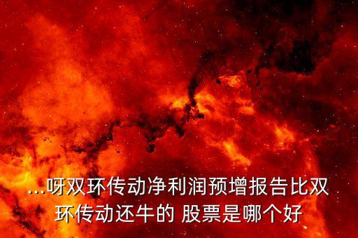 ...呀雙環(huán)傳動(dòng)凈利潤預(yù)增報(bào)告比雙環(huán)傳動(dòng)還牛的 股票是哪個(gè)好