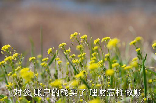 公司賬戶買理財產(chǎn)品
