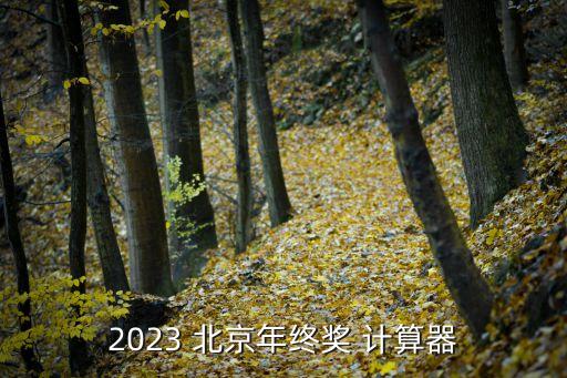 2023 北京年終獎 計(jì)算器