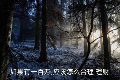 如果有一百萬,應(yīng)該怎么合理 理財
