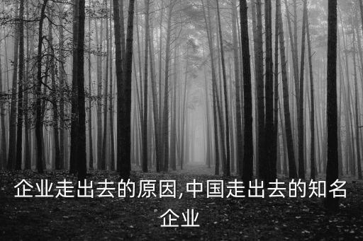 中國企業(yè)走出去的原因,中國走出去的知名企業(yè)