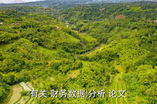 2010可口可樂(lè)公司財(cái)務(wù)報(bào)表分析論文,可口可樂(lè)近三年財(cái)務(wù)報(bào)表分析