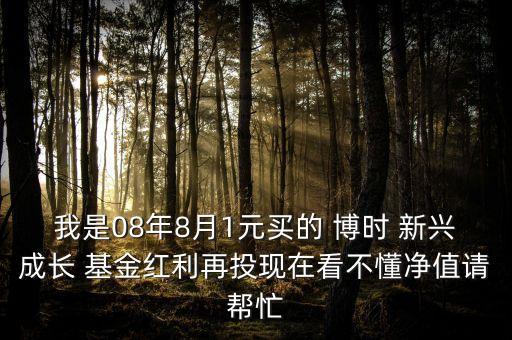 我是08年8月1元買的 博時(shí) 新興成長(zhǎng) 基金紅利再投現(xiàn)在看不懂凈值請(qǐng)幫忙