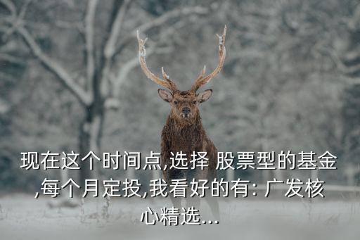 現(xiàn)在這個時間點(diǎn),選擇 股票型的基金,每個月定投,我看好的有: 廣發(fā)核心精選...