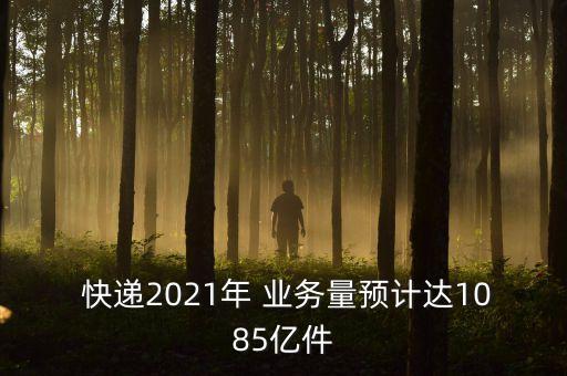  快遞2021年 業(yè)務(wù)量預(yù)計達1085億件