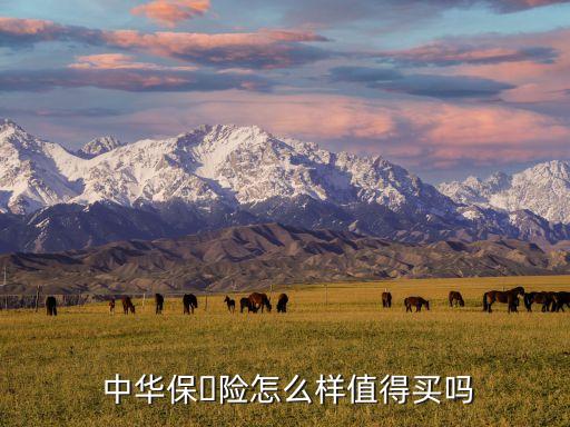  中華保?險(xiǎn)怎么樣值得買嗎