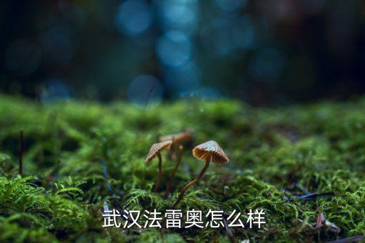 東風(fēng)天汽模武漢金屬成型有限公司