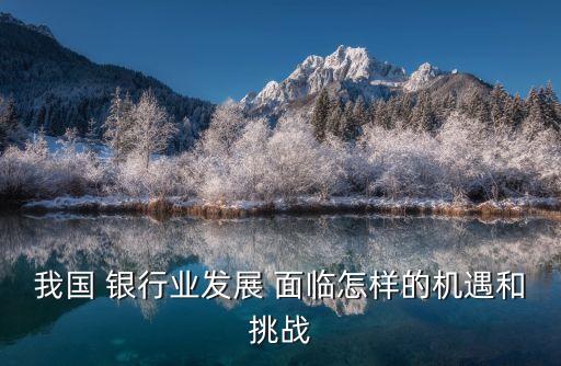 銀行所面臨的環(huán)境,銀行面臨的聲譽風(fēng)險環(huán)境