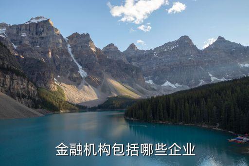 投資的金融機構,投資金融機構發(fā)行的次級債券,投資金額原則上低于