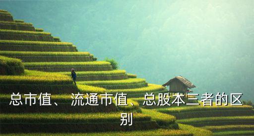 總市值、 流通市值、總股本三者的區(qū)別