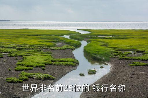 蘇格蘭皇家銀行地址,收購(gòu)蘇格蘭皇家銀行的小說(shuō)