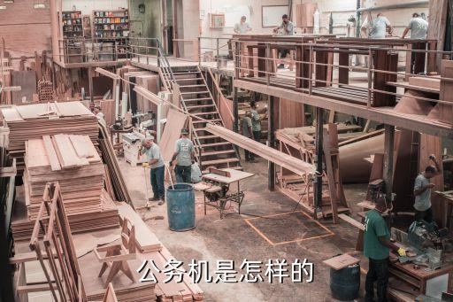 公務(wù)機是怎樣的