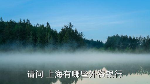 花旗銀行上海陸家嘴支行行長(zhǎng)是誰(shuí),上海陸家嘴花旗銀行大廈