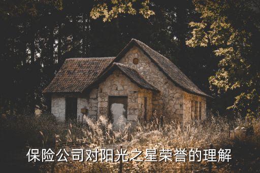 中國保險年度人物