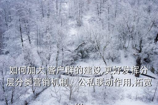 如何加大 客戶群的建設(shè),更好發(fā)揮分層分類營銷機制、公私聯(lián)動作用,拓寬...