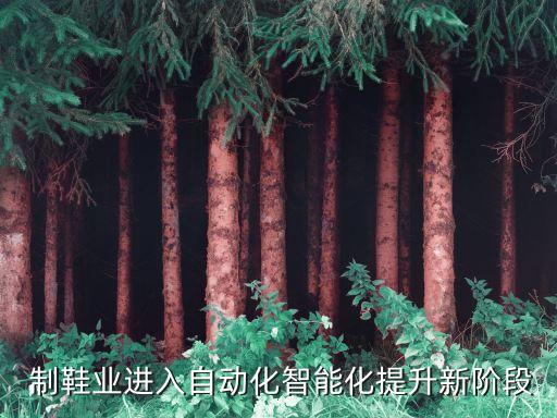  制鞋業(yè)進(jìn)入自動(dòng)化智能化提升新階段