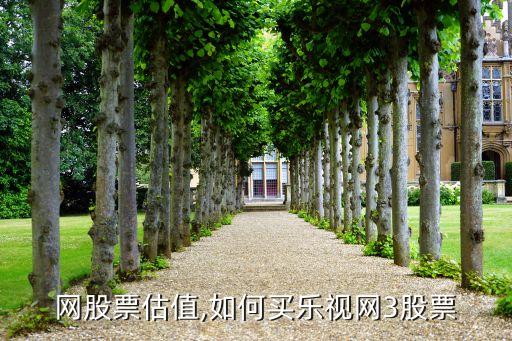 樂(lè)視網(wǎng)股票估值,如何買(mǎi)樂(lè)視網(wǎng)3股票