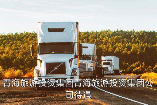 青海旅游投資集團青海旅游投資集團公司待遇
