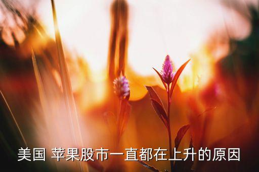 美國(guó) 蘋果股市一直都在上升的原因