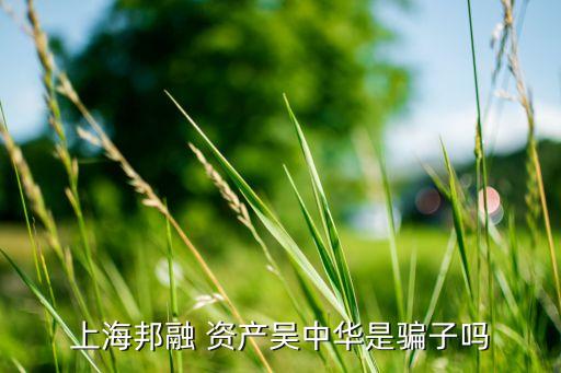 陸家嘴野村資產(chǎn)管理公司,野村資產(chǎn)管理株式會社