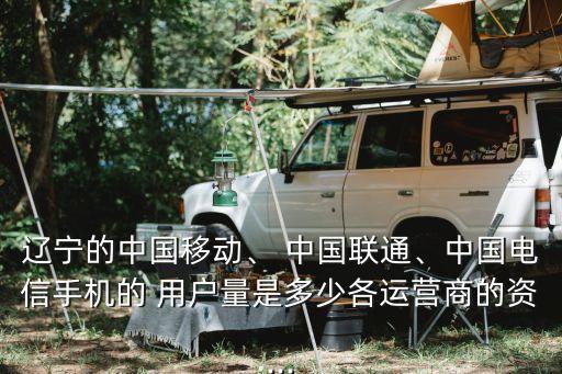遼寧的中國移動、 中國聯(lián)通、中國電信手機的 用戶量是多少各運營商的資...