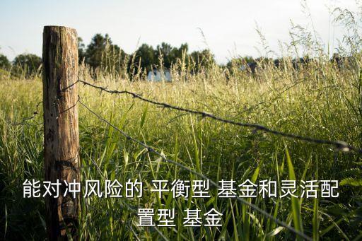 能對沖風(fēng)險(xiǎn)的 平衡型 基金和靈活配置型 基金