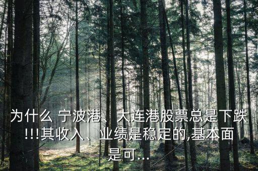 為什么 寧波港、大連港股票總是下跌!!!其收入、業(yè)績(jī)是穩(wěn)定的,基本面是可...