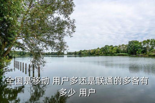 中國聯通用戶量