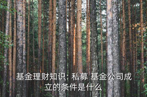  基金理財(cái)知識: 私募 基金公司成立的條件是什么